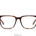 algoritmo rx 666Z8T305 tortuga/transparente rxQuay