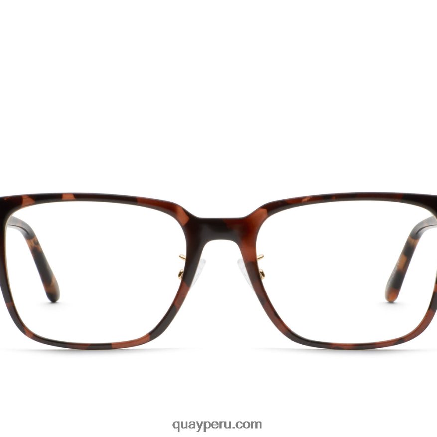 algoritmo_rx_ajuste_alt_666z8t311_tortuga_transparente_rxquay.jpg algoritmo rx ajuste alt 666Z8T311 tortuga/transparente rxQuay - Imagen 1